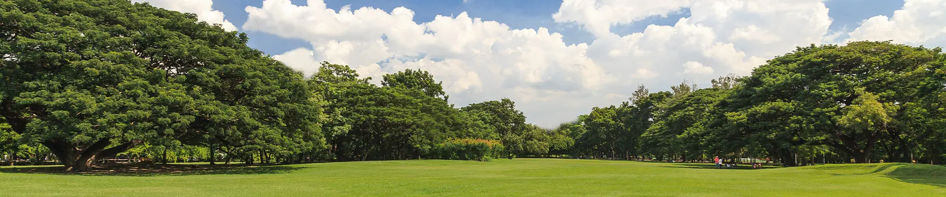 Kirkland Crossing Subdivision