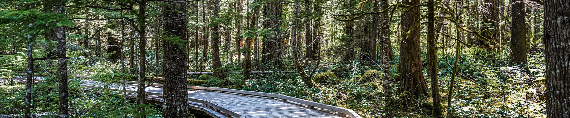 Swan View Farms Subdivision