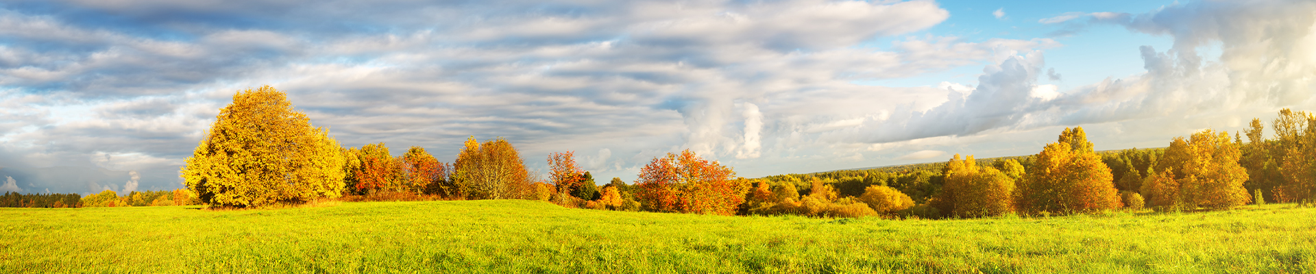 October Fields Subdivision - Lisbon, WI