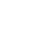 NuPath Homes logo white